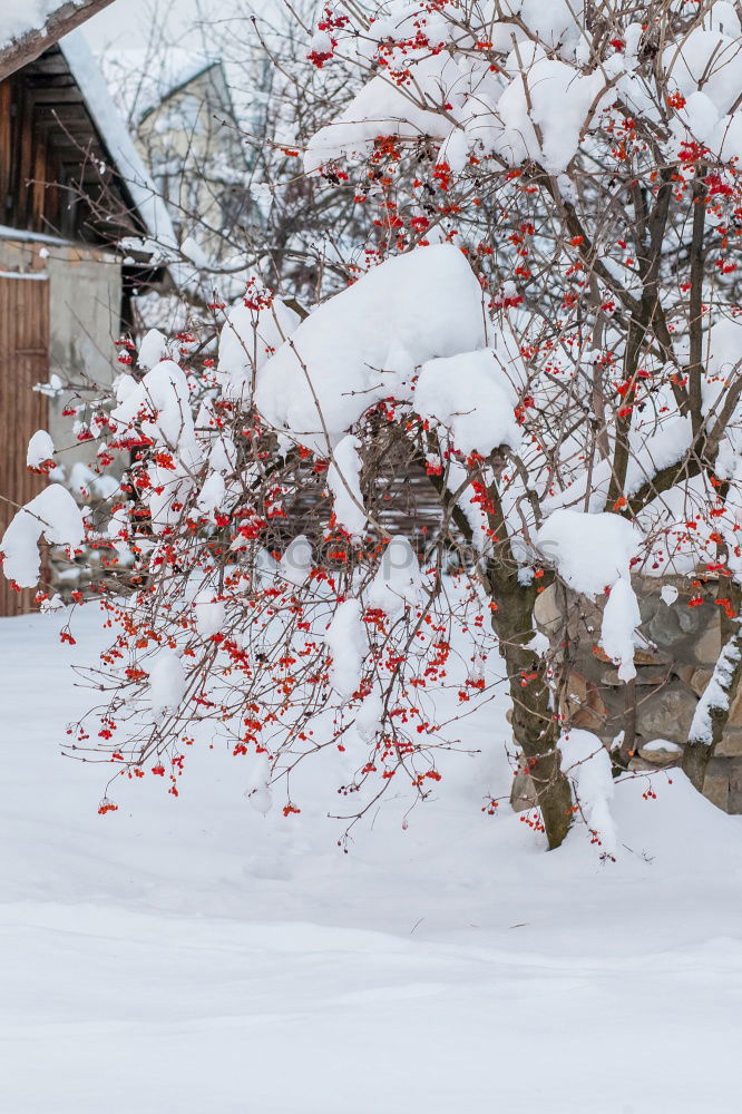 Similar – Foto Bild Schwarzwaldwinter Ausflug