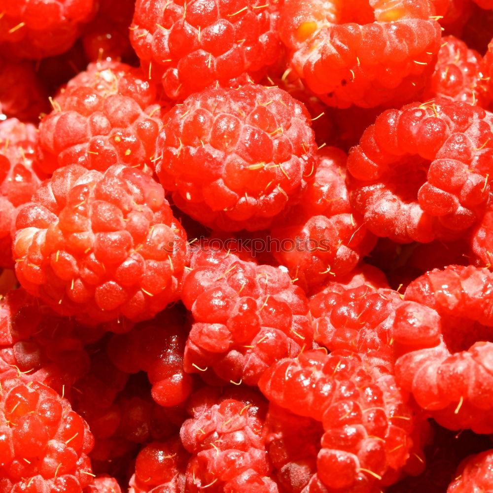 Similar – Image, Stock Photo raspberries Food Fruit