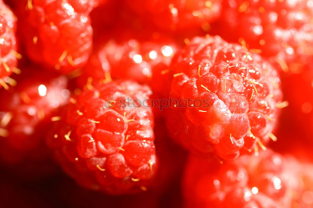 Similar – Strawberry IV Food Fruit