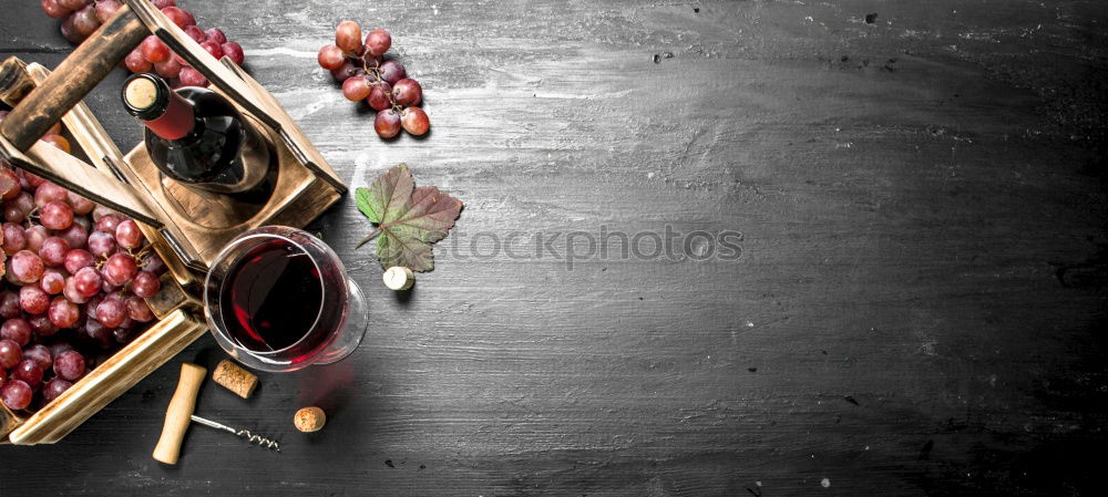 Similar – Image, Stock Photo Cheese with wine and grapes