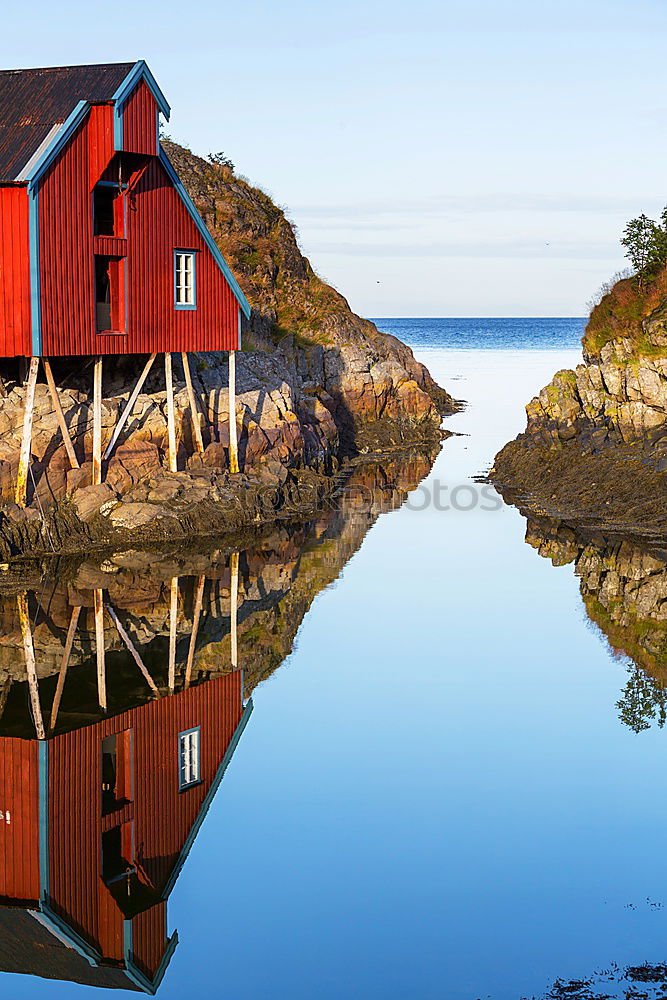 Similar – cottage cheese Hut Hiking