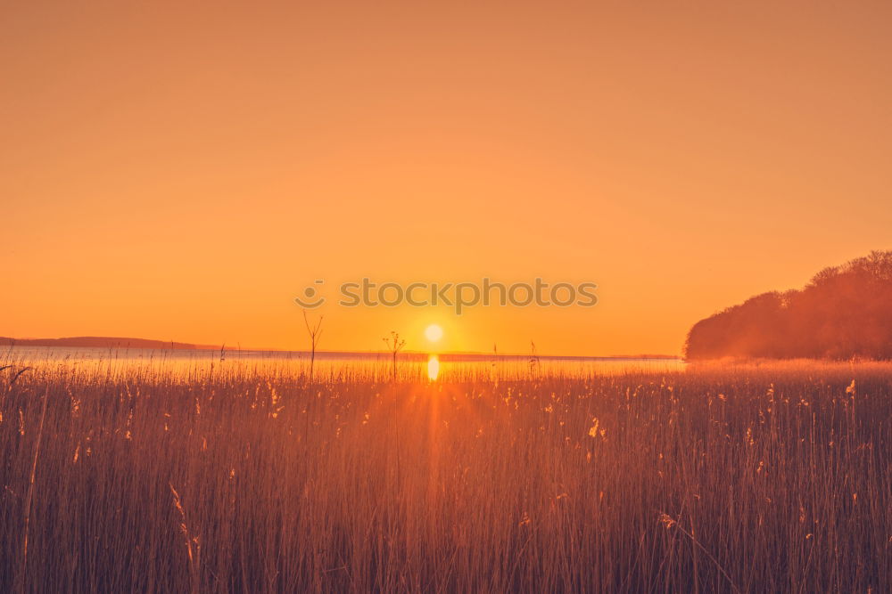 Similar – Landscape of a sunset in the sea