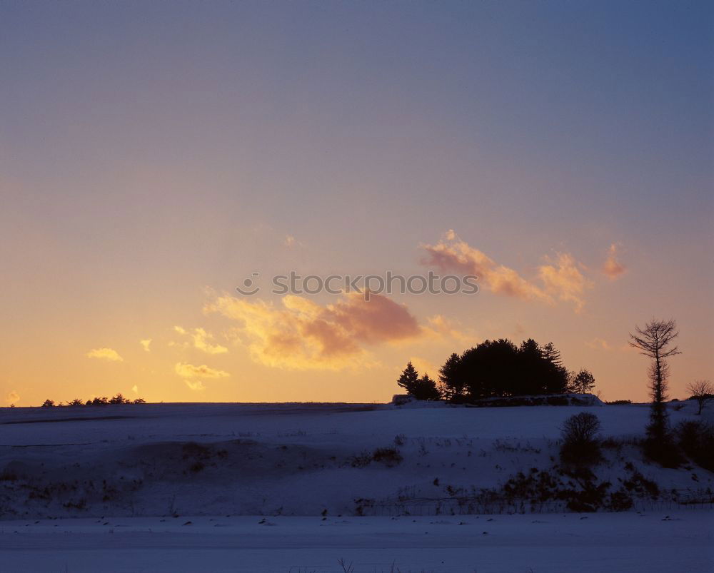 Similar – Image, Stock Photo If it were winter now Sun