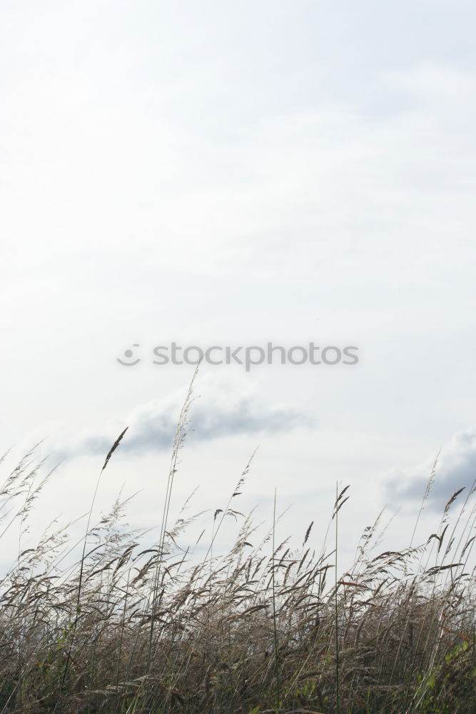 Similar – Foto Bild fern. Tourismus Ausflug