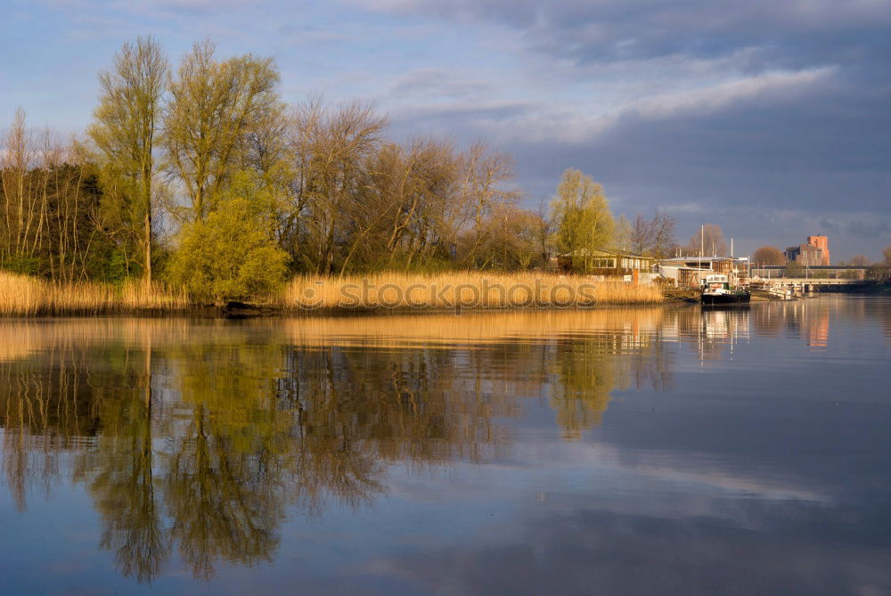 Similar – Elbe banks in Dresden