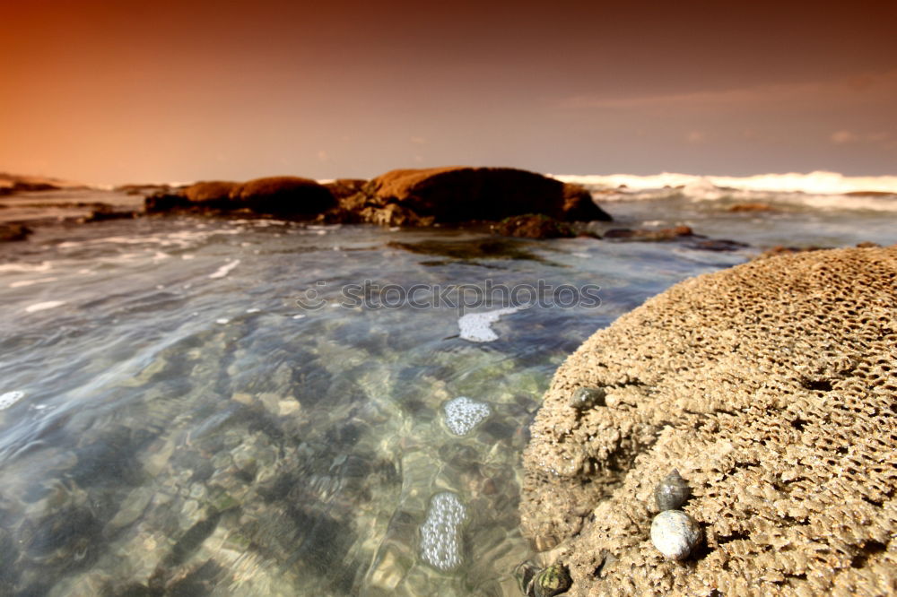 Similar – Red sand beach