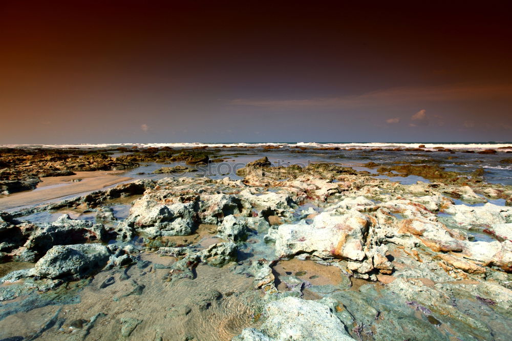 Similar – Image, Stock Photo canguu temple Elements Sky