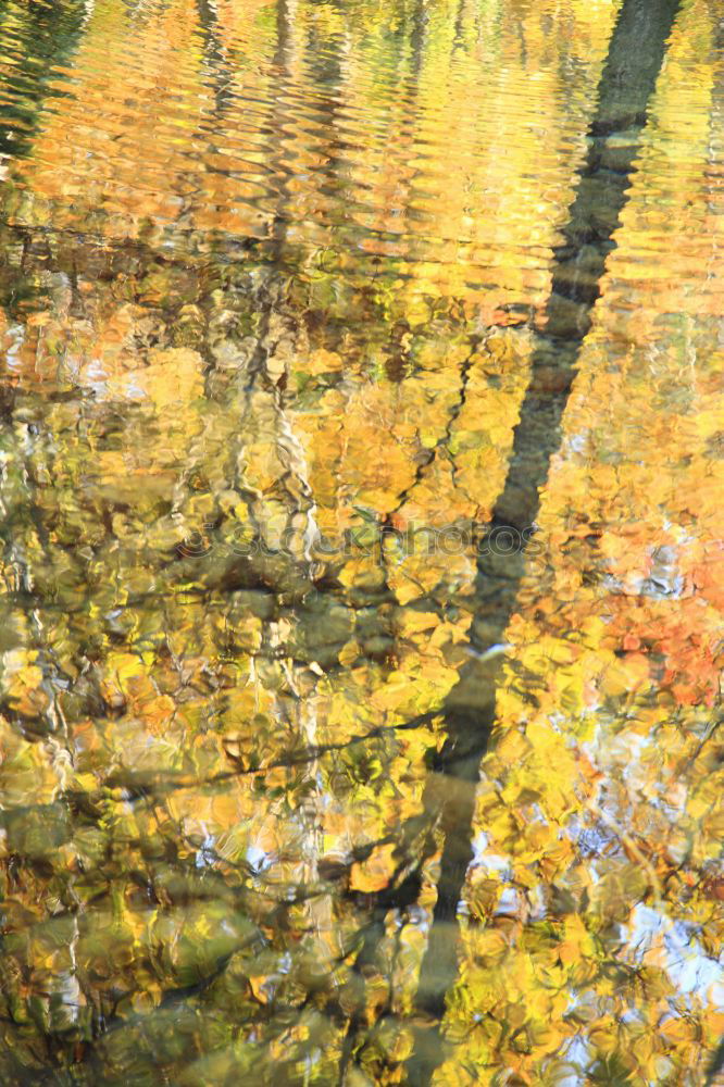 Similar – autumnal impression Pond