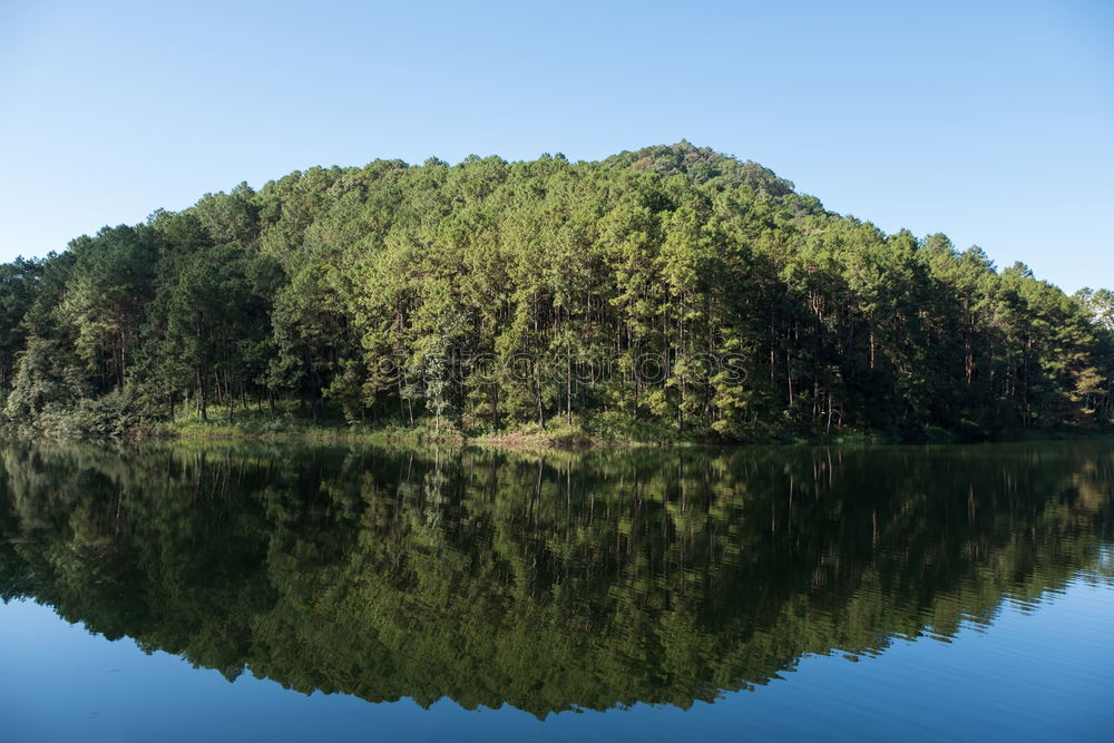 Similar – Foto Bild der herbst ist blau und grün