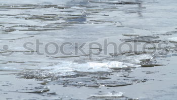 Similar – Image, Stock Photo diagonal Nature Winter Ice