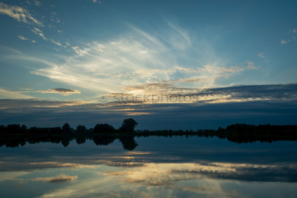 trunk tree Pond Lake Tree