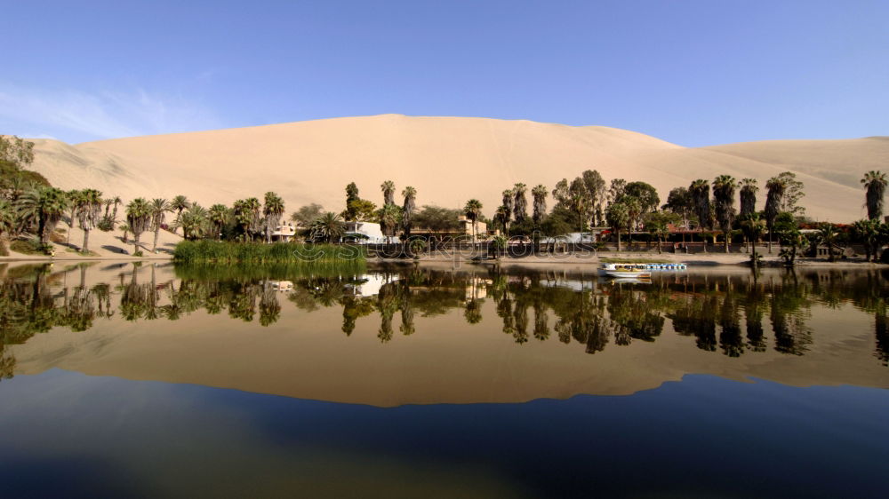 Similar – Image, Stock Photo Take a time out in the oase Huacachina in Peru