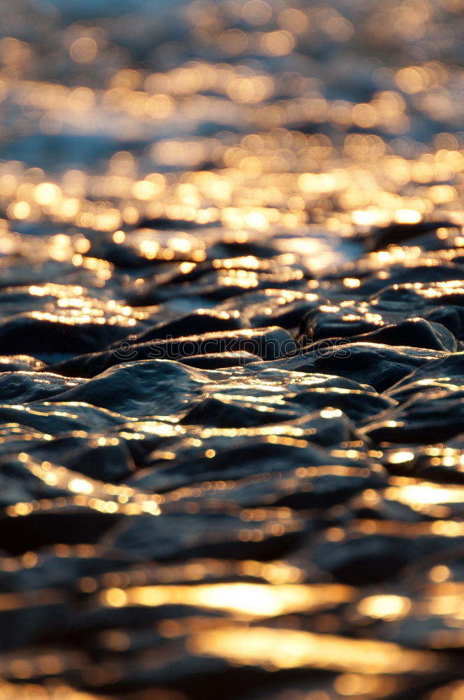 Similar – Golden Beach. Environment