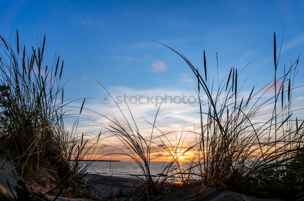 Similar – Image, Stock Photo Lighthouse Darßer Ort on the Fischland-Darß