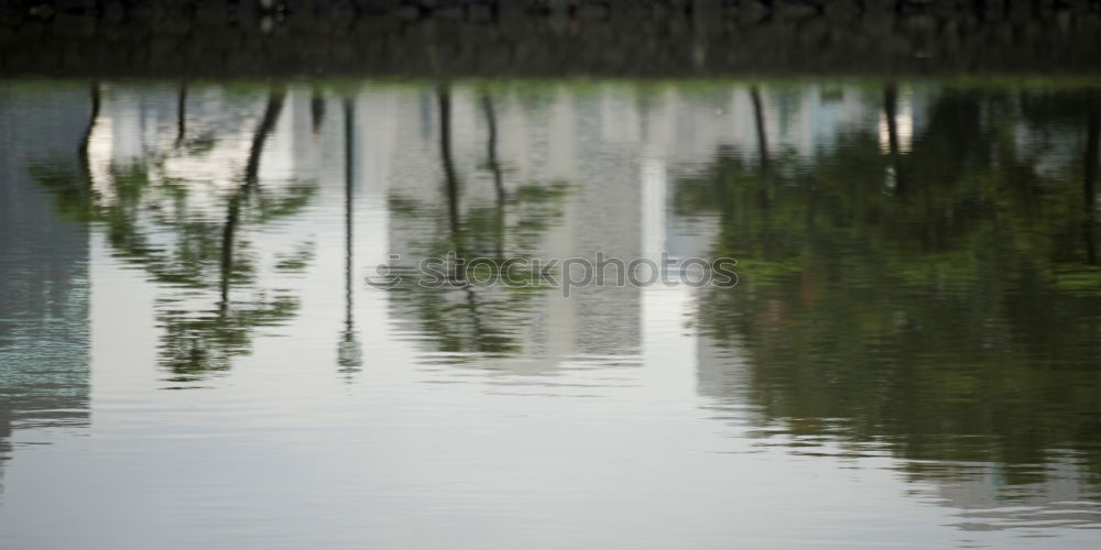 Similar – Image, Stock Photo Streetlight 2 Water