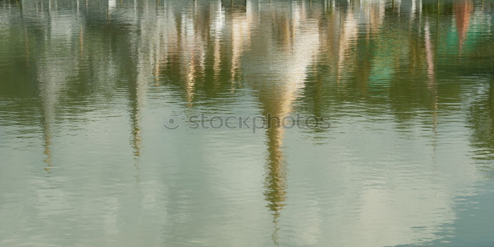 Similar – autumn mirror Nature Water