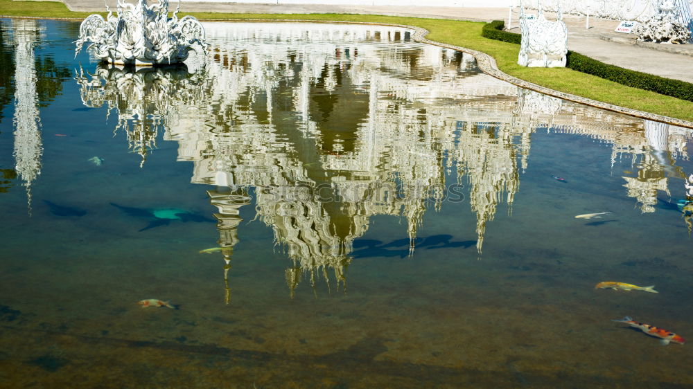 Similar – Image, Stock Photo underwater Puddle Berlin