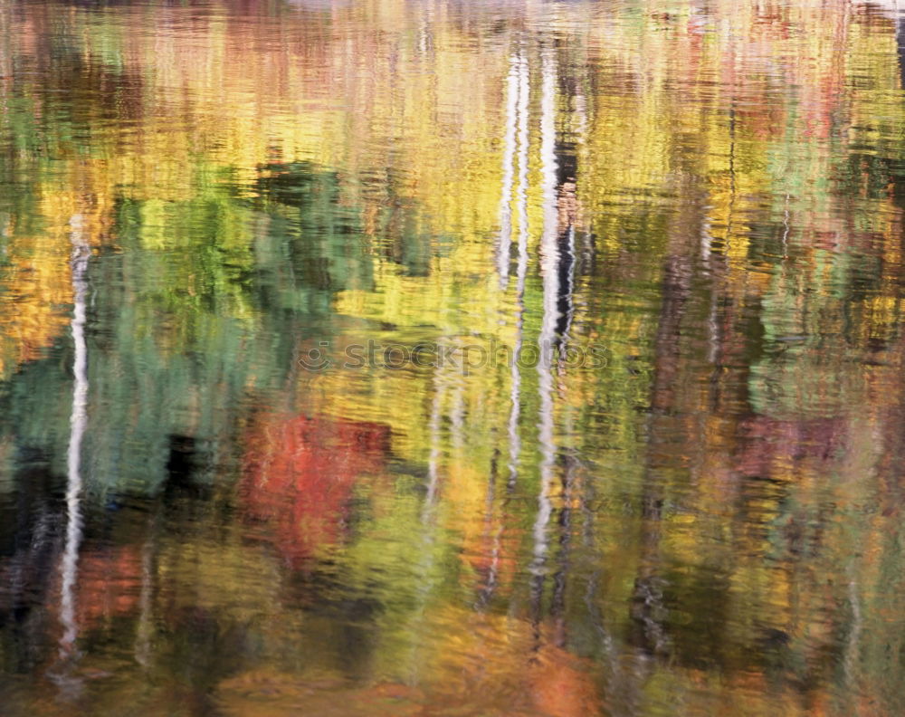 Similar – autumnal impression Pond