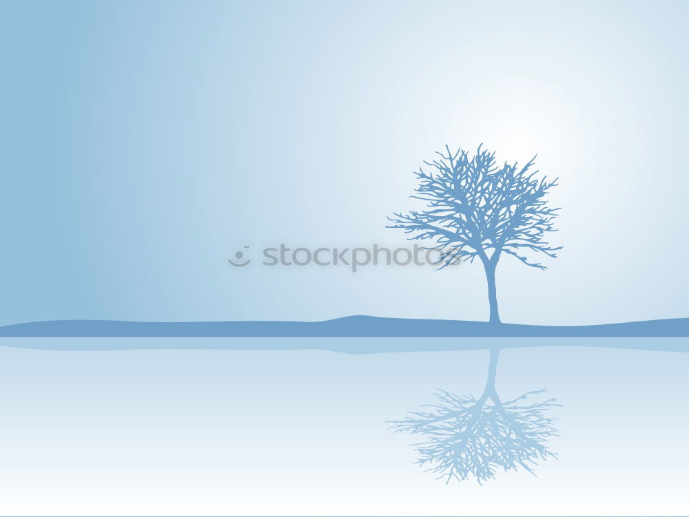 Similar – leafless tree in spring