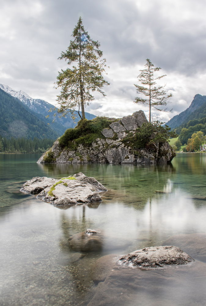 Similar – Image, Stock Photo Christmas at the lake