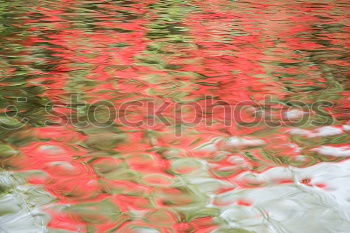 Similar – leaf flow Leaf Brook