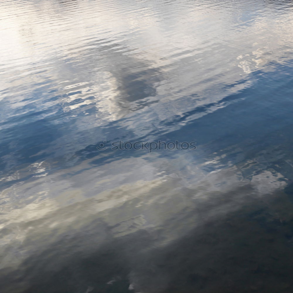 Similar – Image, Stock Photo rail shadow Animal Water