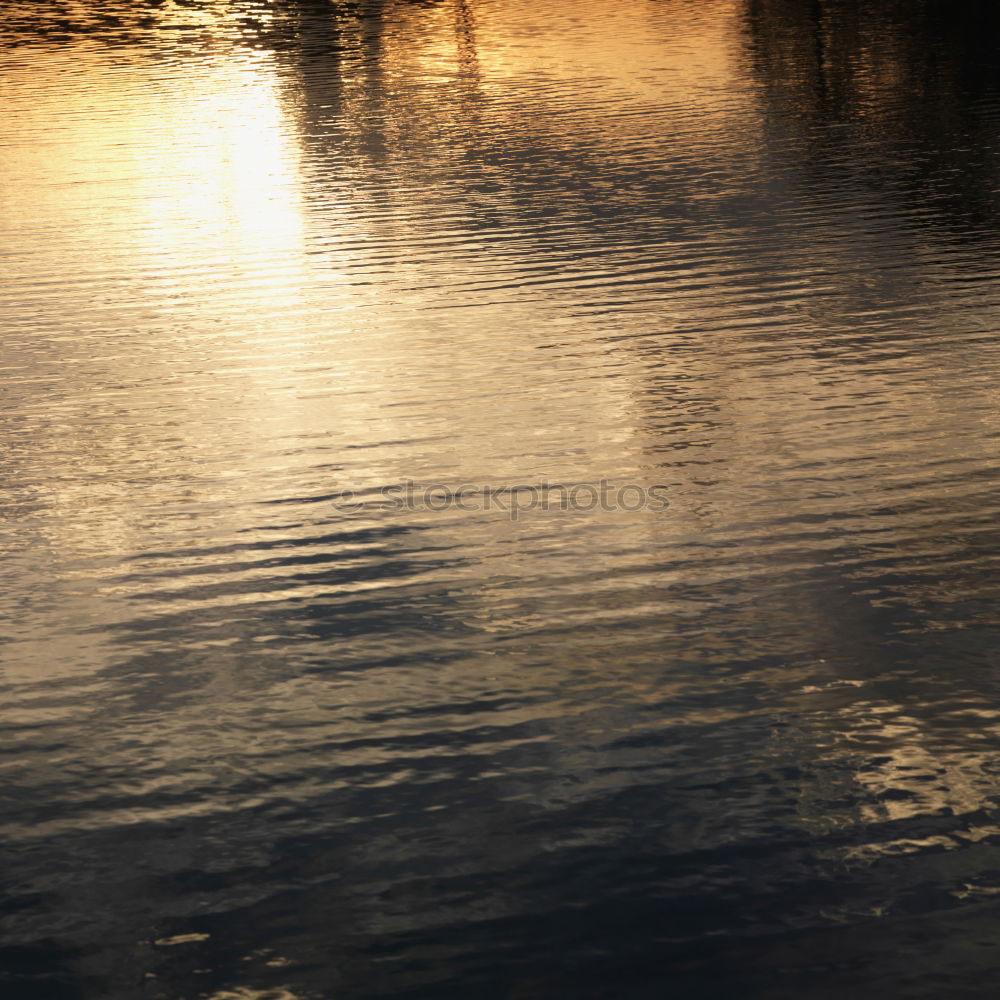 Similar – Evening on the Müggelsee