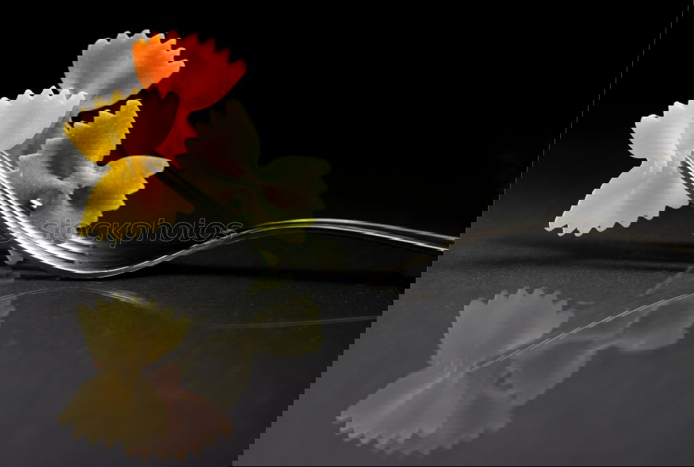 Similar – Foto Bild Plus Blume gelb Lupe