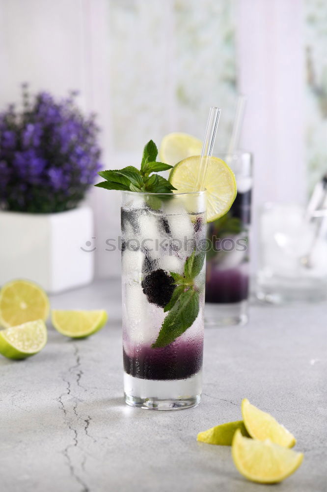 Similar – Blackberry Mocktail