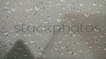 Similar – Image, Stock Photo Bootcamp for head waiter