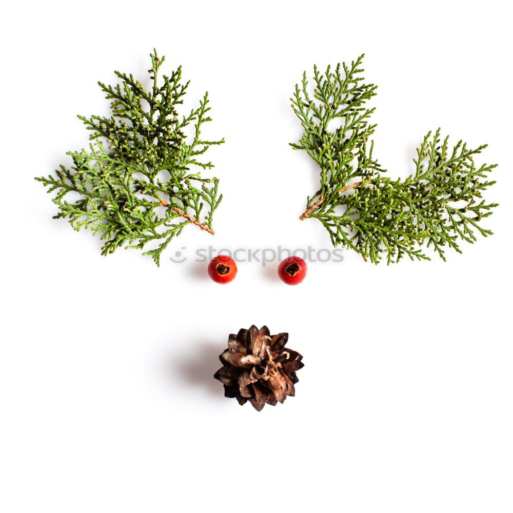 Similar – Image, Stock Photo Creative layout made of Christmas decorations.