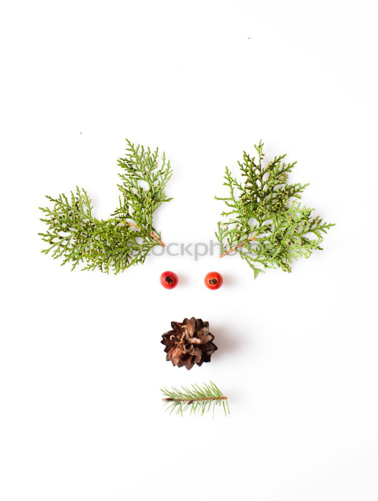 Similar – Image, Stock Photo Creative layout made of Christmas decorations.