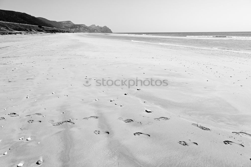 Similar – On the beach at low tide…