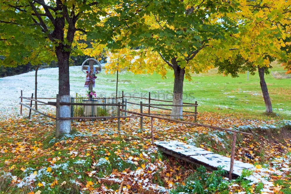 Similar – Park bench in the fall at Lago Ledro