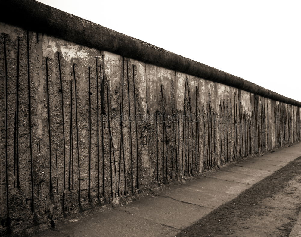 Similar – Viva O Ceu Wall (barrier)