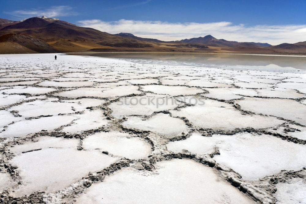 Similar – Image, Stock Photo Laguna Colorada