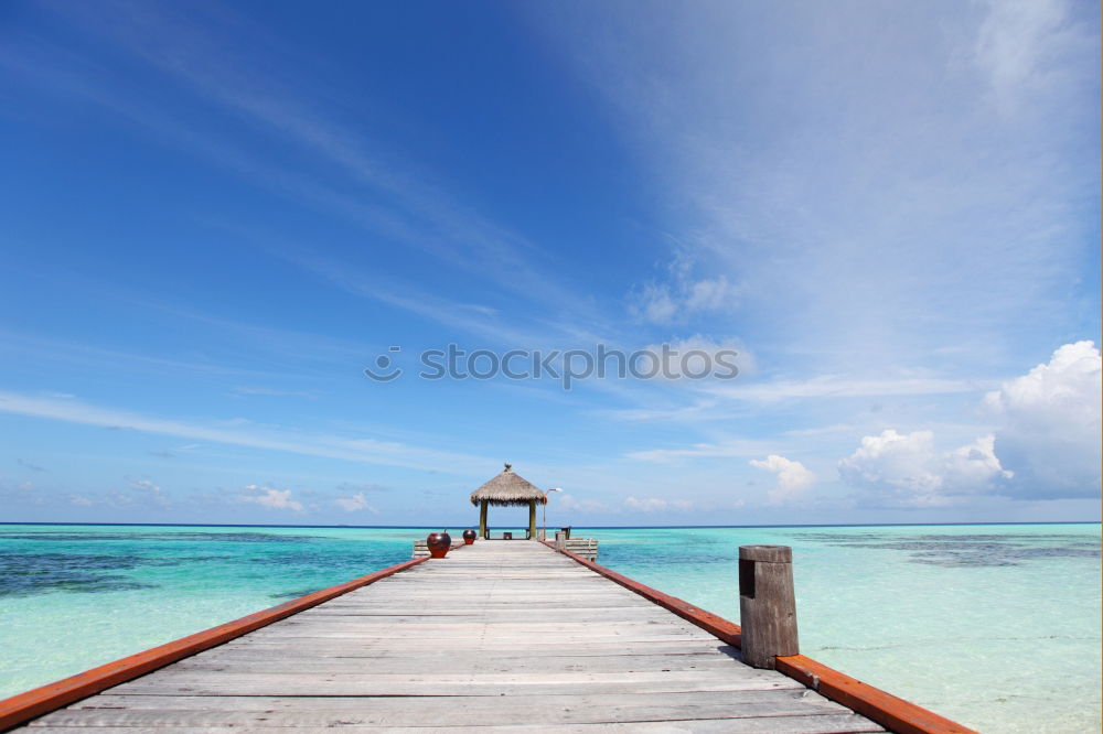 Similar – Image, Stock Photo Bridge to Paradise Nature