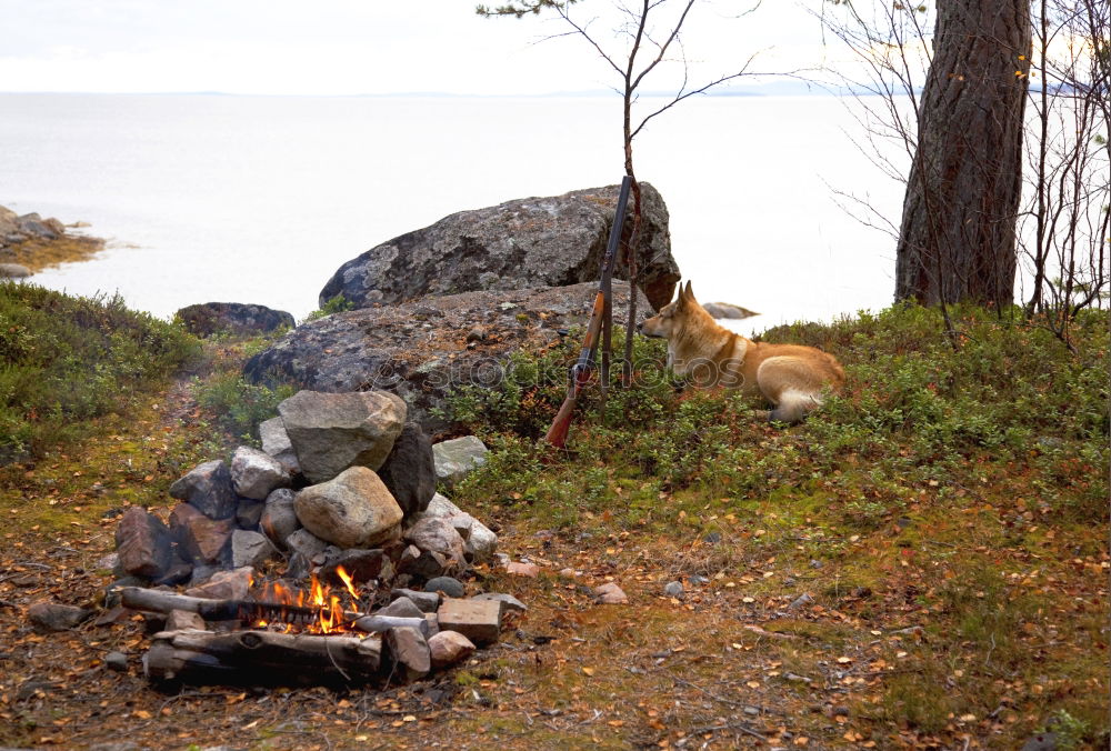 Similar – Image, Stock Photo Man lights a fire in the fireplace in nature at night