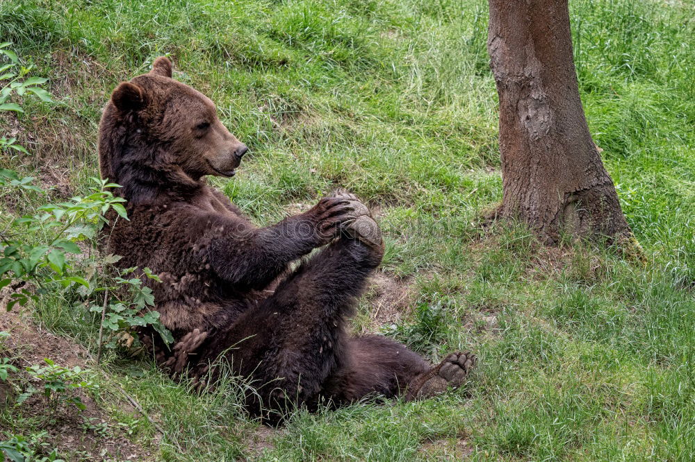 Similar – Image, Stock Photo siesta Vacation & Travel