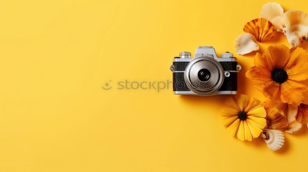 Similar – Feet in front of an analog camera and autumn leaves