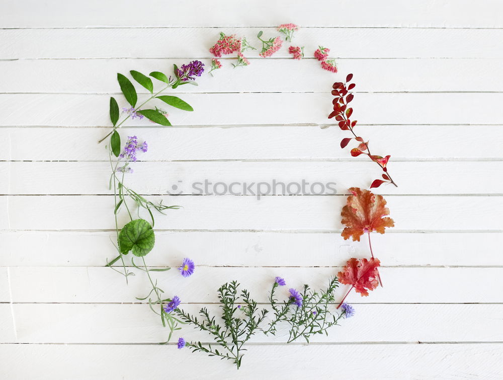 Similar – Garden Still Life Nature