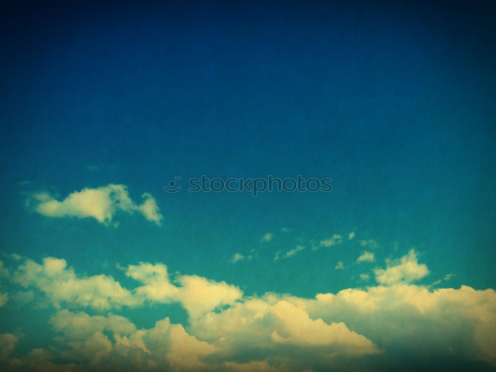 Similar – Image, Stock Photo flight Seagull Bird Clouds