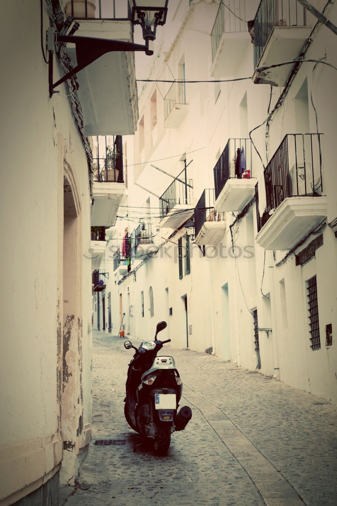 Similar – Image, Stock Photo Woman in a small alley in Naples with a view of the city