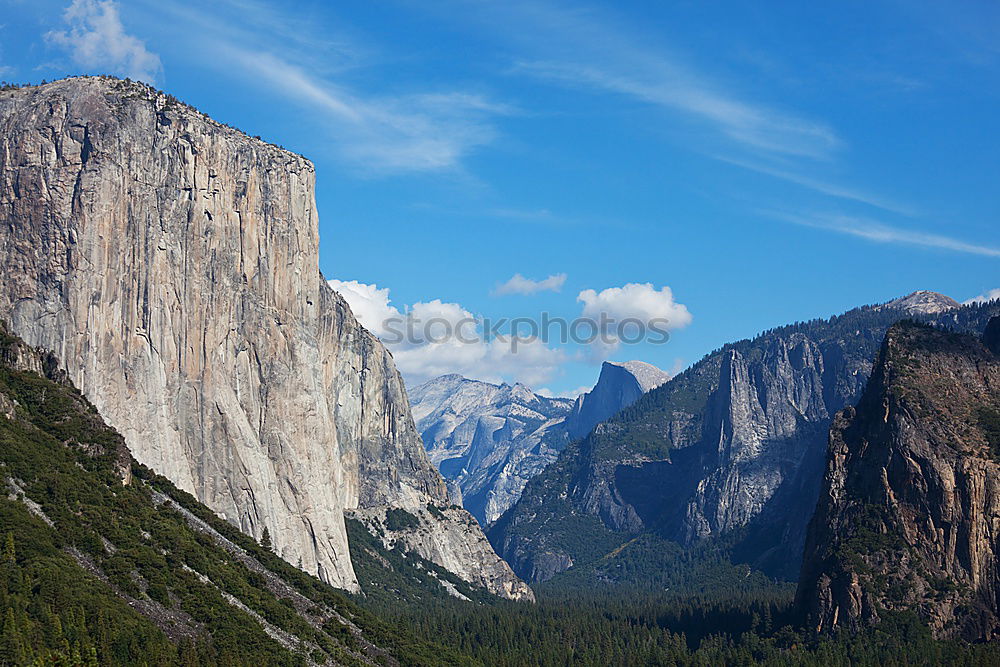 Similar – Image, Stock Photo Better half
