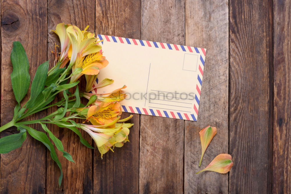 Similar – Bouquet of mixed flowers and a message card