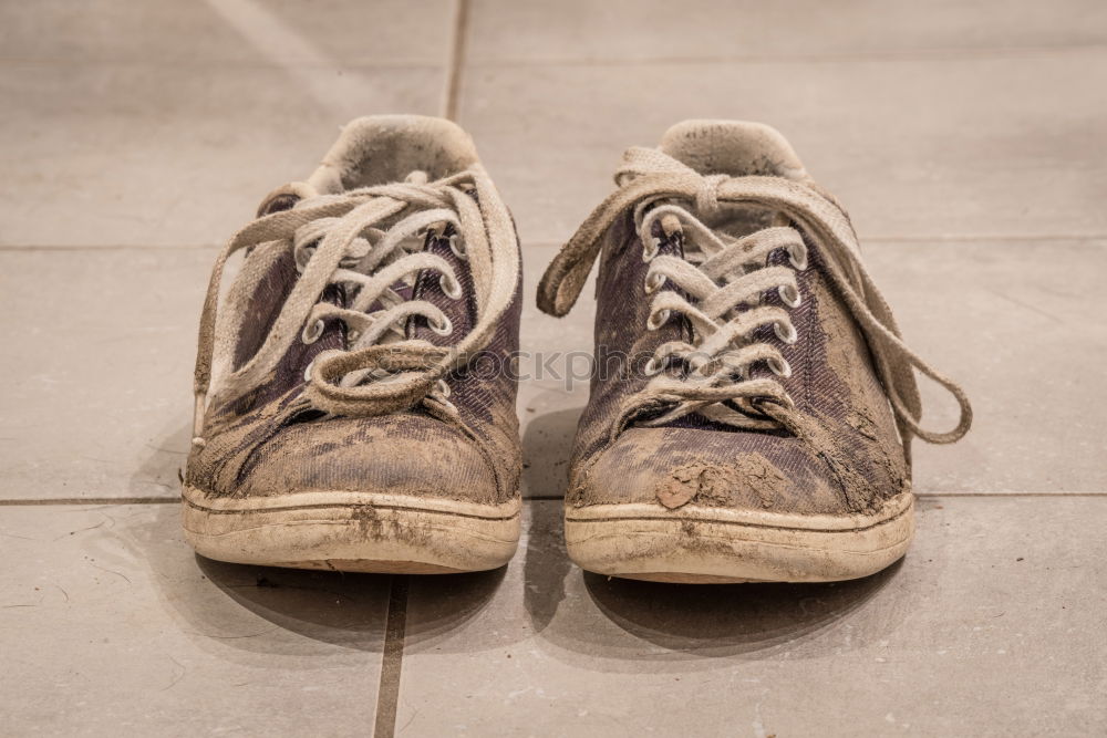 Similar – Image, Stock Photo Note: Never store leather shoes in a damp cellar.