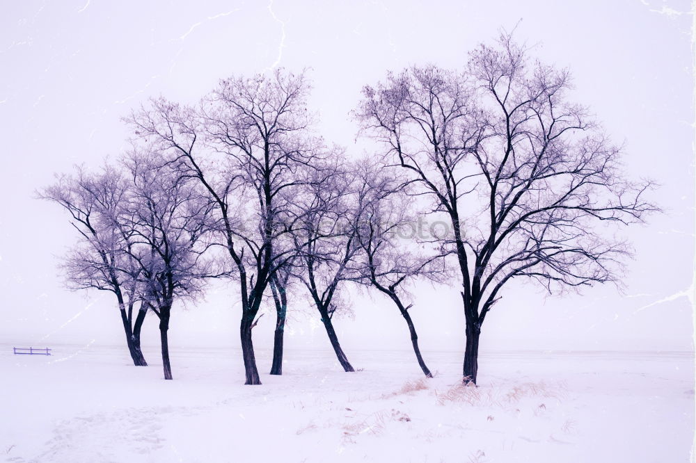 Similar – parken Ikon Feld Baum