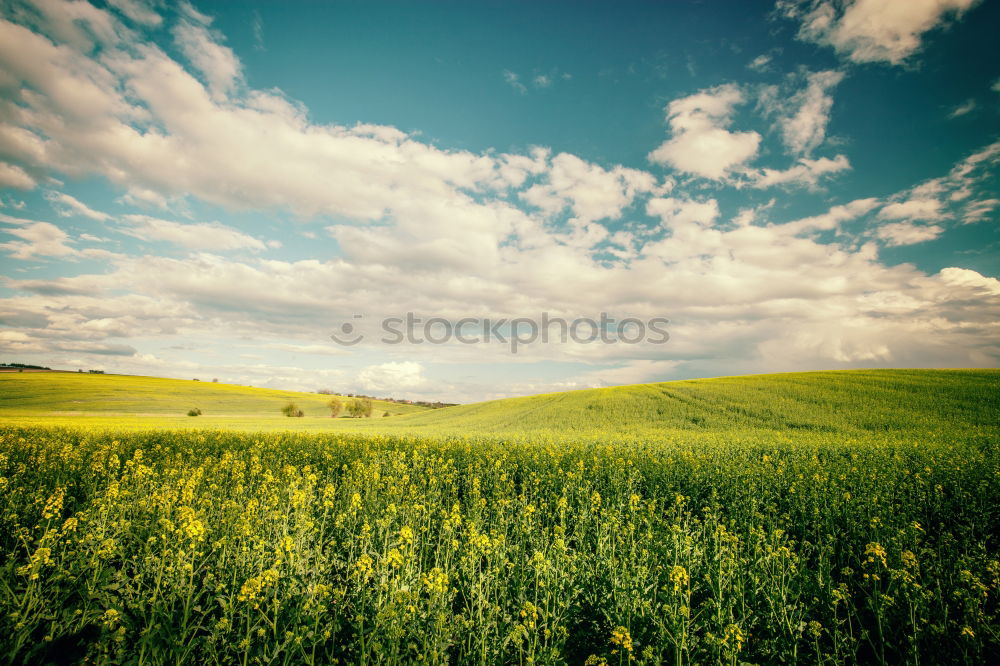 Similar – Grüner Herbst Landschaft