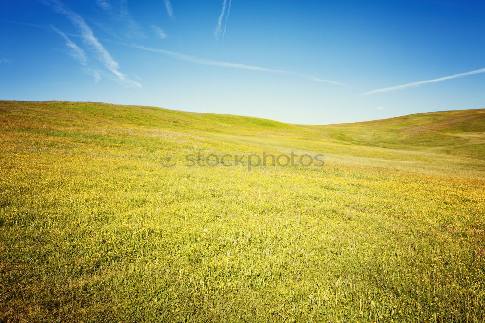 Similar – hill Tree Dark Hill Meadow