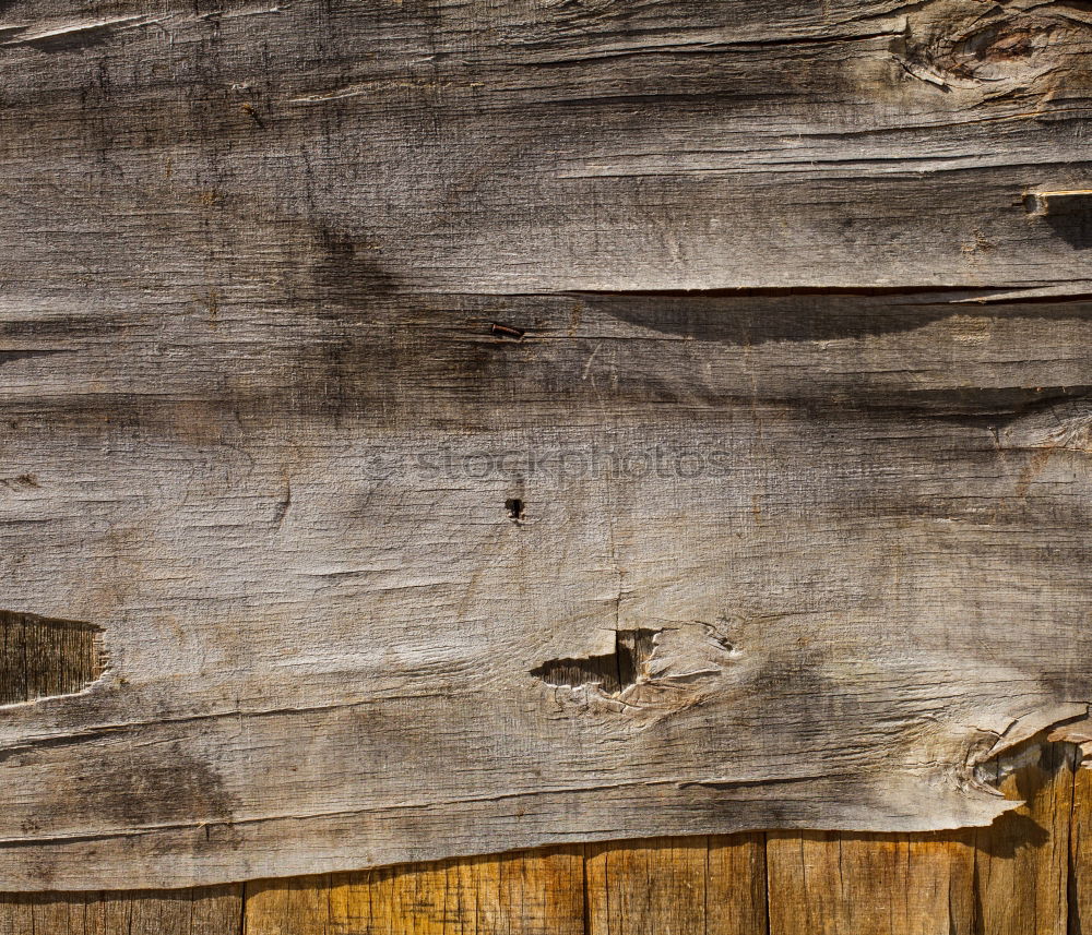 Similar – Image, Stock Photo Old wooden plank. Natural background, backdrop.